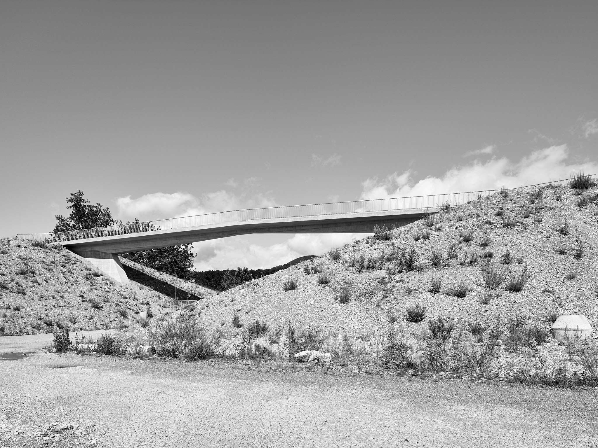 E15553 · Essay Luechinger Meyer